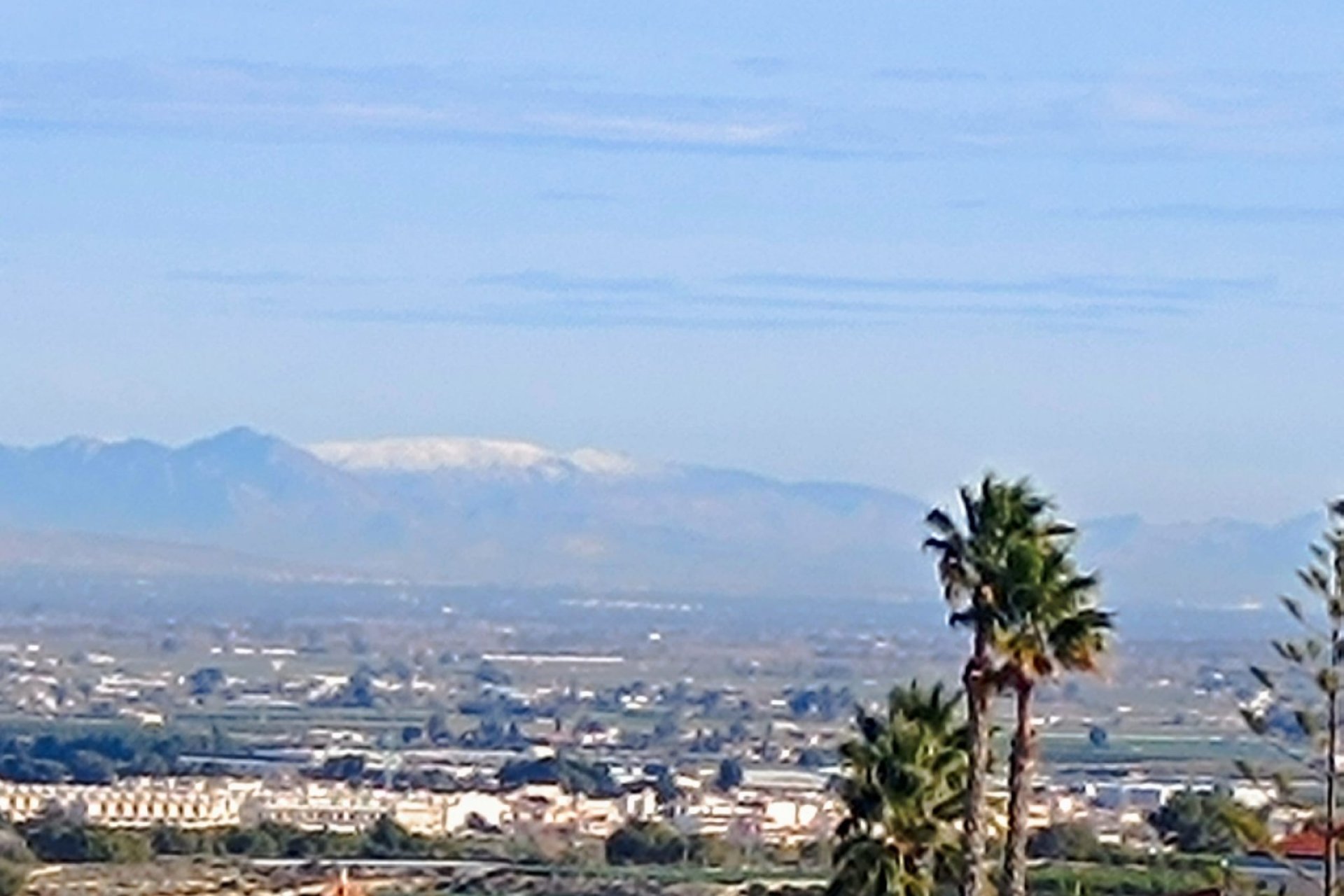 Villa en Algorfa con piscina privada, 3 dormitorios y un amplio jardín