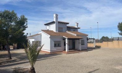 Villa - New Build - Fuente Álamo -
                Fuente Alamo