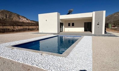 Villa - New Build - Jumilla -
                Torre del Rico