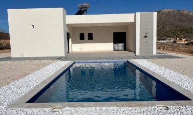 Villa - New Build - Jumilla -
                Torre del Rico