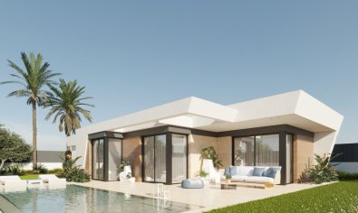 Villa - New Build - Molina De Segura -
                Molina de Segura