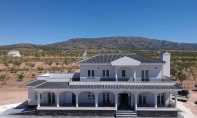 Villa - New Build - Pinoso - Camino Del Prado