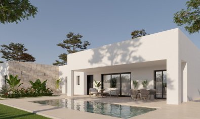 Villa - New Build - Pinoso - Lel