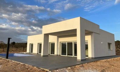 Villa - New Build - Pinoso -
                Pinoso