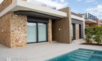 Villa - New Build - Rojales -
                Rojales