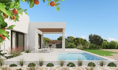 Villa - Nieuwbouw Woningen - Dehesa De Campoamor -
                Dehesa De Campoamor