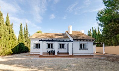 Villa - Nieuwbouw Woningen - Fuente Álamo - Fuente Alamo