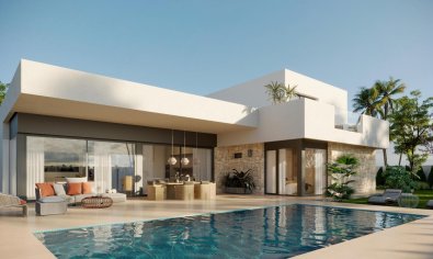 Villa - Obra nueva - Aspe -
                Aspe