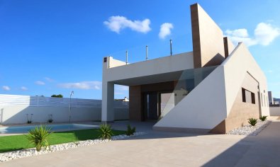Villa - Obra nueva - Aspe -
                Aspe