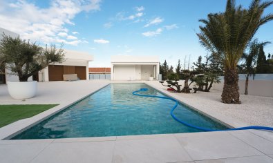 Villa - Obra nueva - Benejúzar -
                Benejúzar