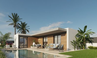 Villa - Obra nueva - Molina De Segura -
                Molina de Segura