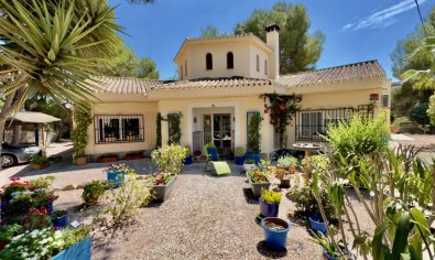 Villa - Resale - Algorfa -
                Montemar