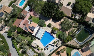 Villa - Resale - Elche -
                Elche