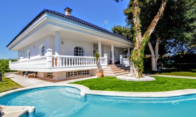 Villa - Resale - Torrevieja -
                Torreta