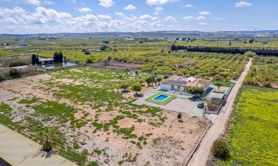 Villa - Reventa - Los Montesinos -
                Los Montesinos