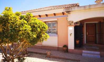 Villa - Reventa - Los Montesinos -
                Los Montesinos