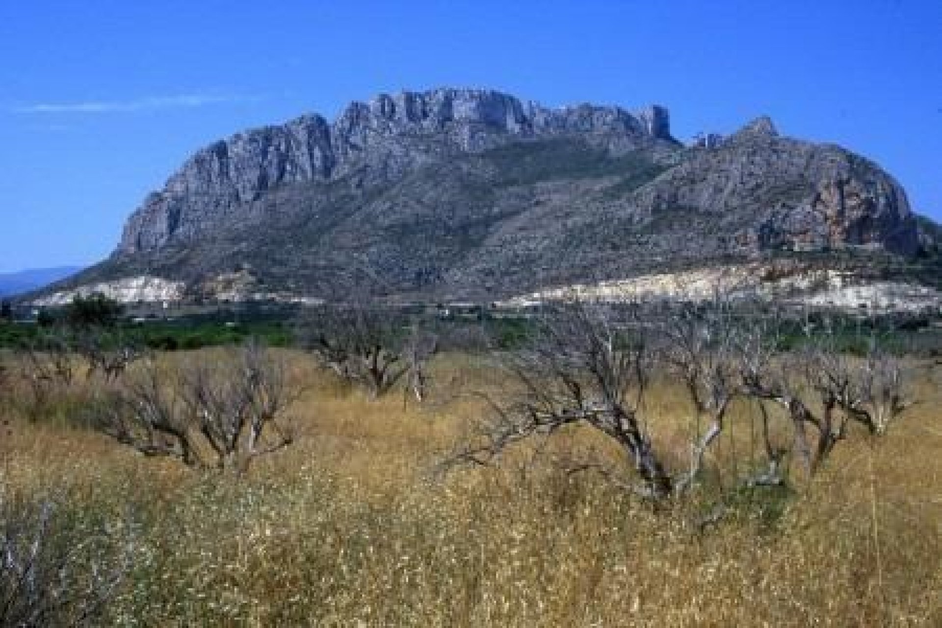 Viviendas de Obra Nueva en El Vergel