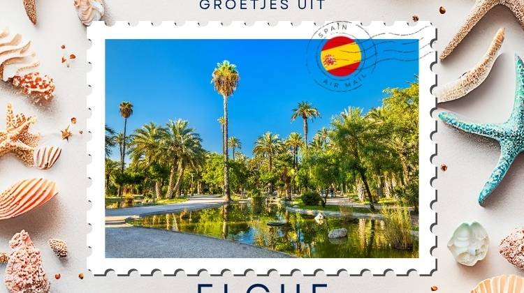 Groetjes uit Elche: de stad van palmbomen, historie en Spaanse charme
