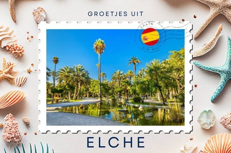 Saludos desde Elche: Vivir en, mudarse a y comprar inmobiliaria en Elche