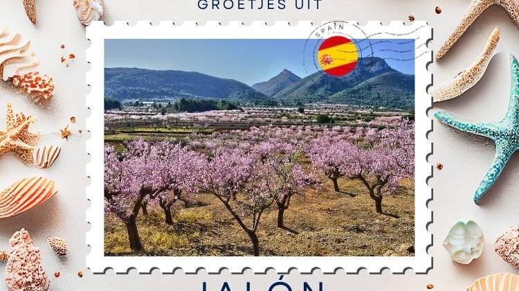 Saludos desde Jalón: donde se unen el vino, las montañas y el encanto español