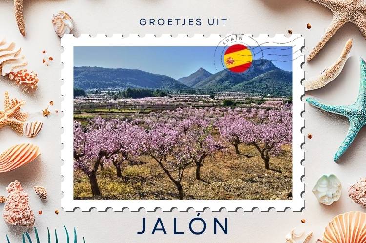 Groetjes uit Jalón: waar wijn, bergen en Spaanse charme samenkomen