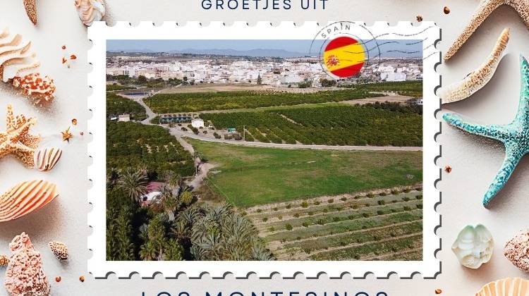 Los Montesinos Costa Blanca