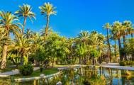 Dagtochten Costa Blanca Unesco El Palmeral Elche