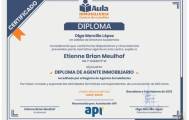 Agente de API registrado en España 