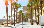 Living in Torrevieja