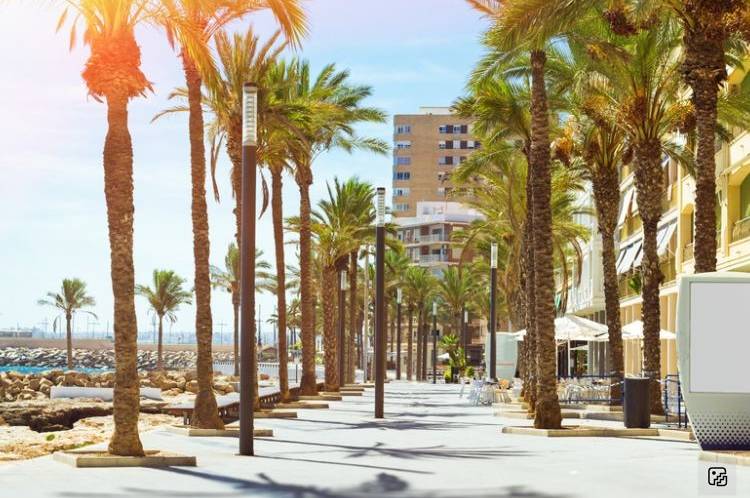 Wonen in Torrevieja