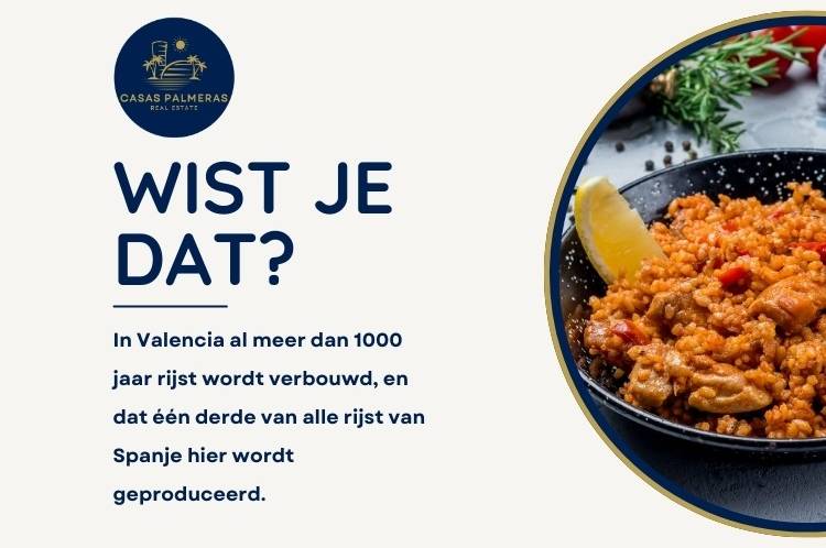 Did you know? Paella and rice from Valencia and Albufera Did you know? Paella and rice from Valencia and Albufera