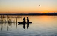 Rice fields Albufera Valencia