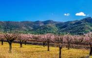 Hiking and biking on the Costa Blanca Jalon Valley