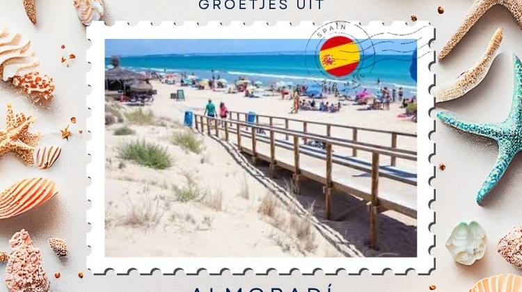 Greetings from La Marina: dunes, pine forests and life beside the sea