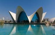 l'Oceanografic (Aquarium Valencia)