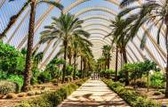 Ciudad de las Artes y las Ciencias Valencia