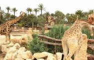 Safari Zoo Elche