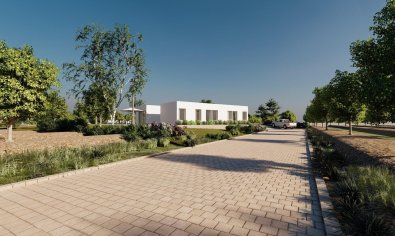 Obra nueva - Villa -
Algorfa - Lomas De La Juliana