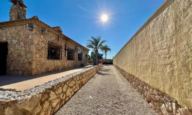 Resale - Finca -
Fortuna
