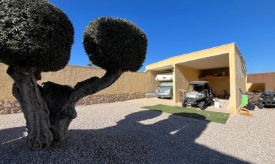 Resale - Finca -
Fortuna