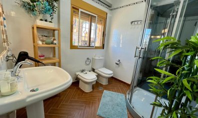 Resale - Finca -
Fortuna
