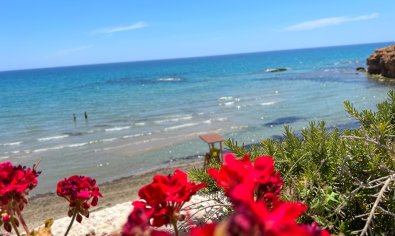 Reventa - Villa -
Pilar de la Horadada