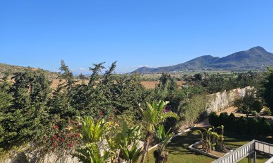 Bestaande bouw - Villa -
La Manga Club