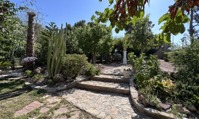 Bestaande bouw - Villa -
Elche