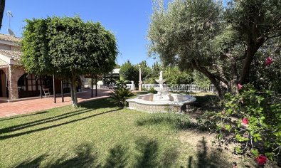 Bestaande bouw - Villa -
Elche