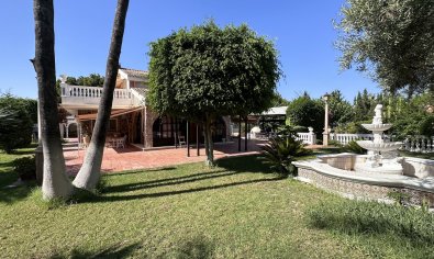 Bestaande bouw - Villa -
Elche