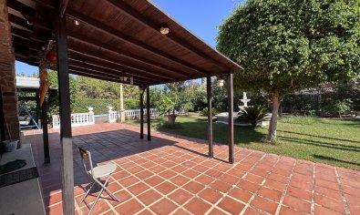 Bestaande bouw - Villa -
Elche