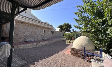 Bestaande bouw - Villa -
Elche