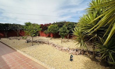 Bestaande bouw - Villa -
Algorfa