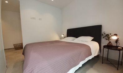 Bestaande bouw - Villa -
Pilar de la Horadada